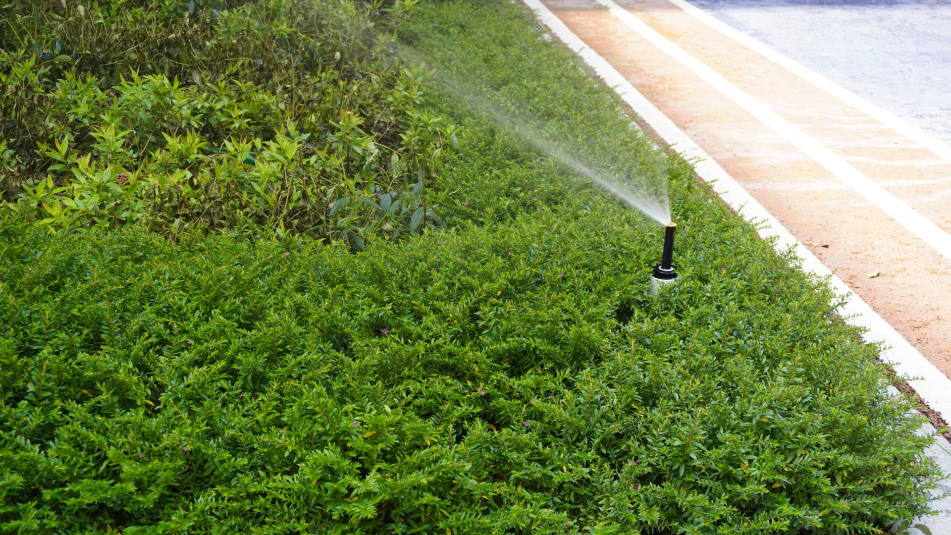 模塊雨水回用系統與機房雨水回用系統的特點